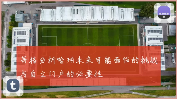 蒂格分析哈珀未来可能面临的挑战与自立门户的必要性